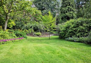 Optimiser l'expérience du jardin à Fernoel