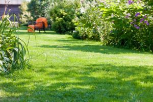 travaux jardin et paysage Fernoel